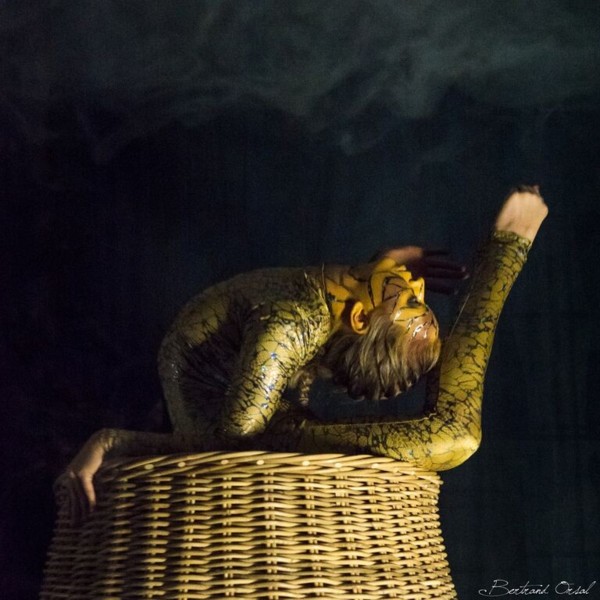 Wicker Snake Basket
