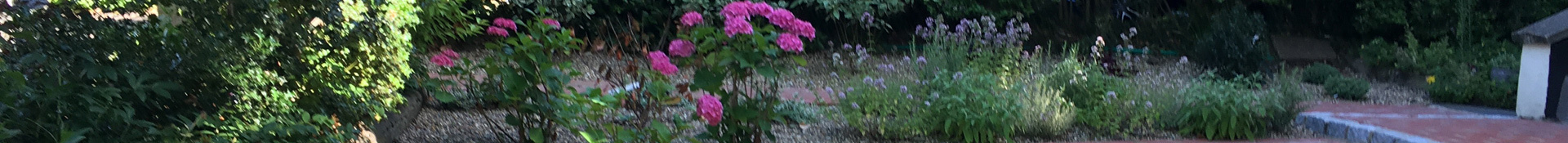 Landscape gardeners Kent, Landscape gardeners Canterbury, Landscape gardeners Whitstable