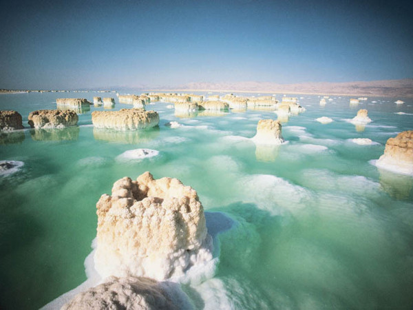 Miscellaneous interests