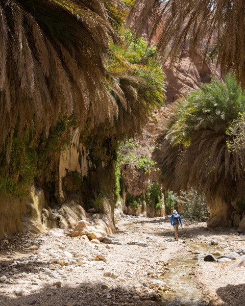 The hashemite kingdom of jordan and the royal family