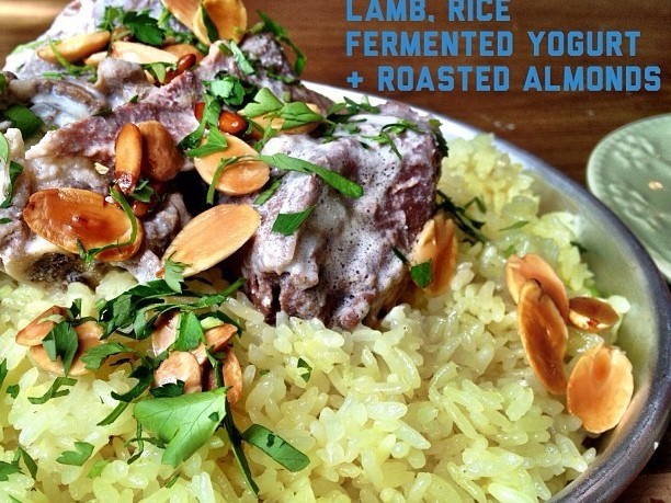 Culinary delights of amman