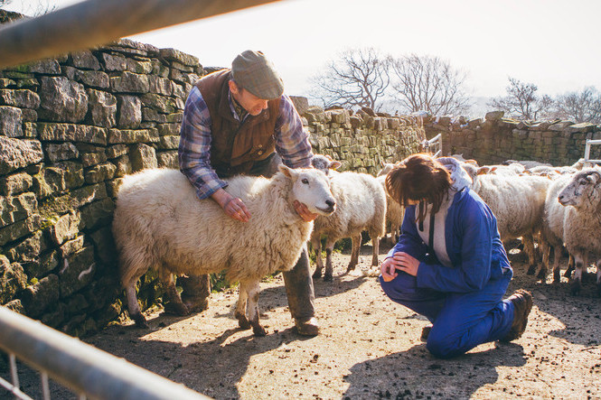 Agricultural Consultant Scotland, Agricultural Farm and Croft Grant Funding Subsidy, Agri-Env Environmental Scheme Grant Application