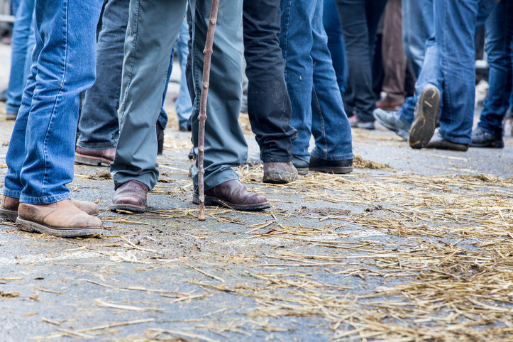 Agricultural Consultant Scotland, Agricultural Farm and Croft Grant Funding Subsidy, Agri-Env Environmental Scheme Grant Application