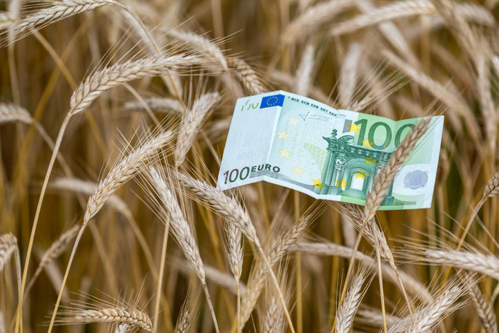 Agricultural Consultant Scotland, Agricultural Farm and Croft Grant Funding Subsidy, Agri-Env Environmental Scheme Grant Application