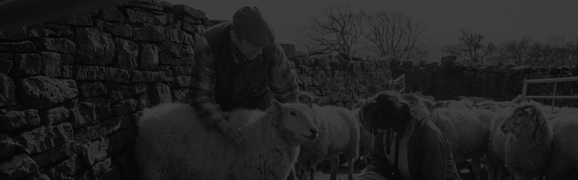 Agricultural Consultant Scotland, Agricultural Farm and Croft Grant Funding Subsidy, Agri-Env Environmental Scheme Grant Application