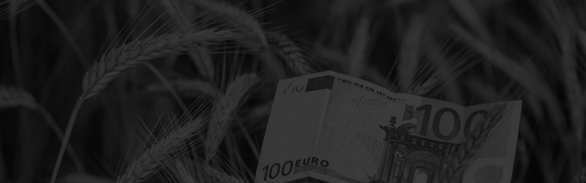 Agricultural Consultant Scotland, Agricultural Farm and Croft Grant Funding Subsidy, Agri-Env Environmental Scheme Grant Application