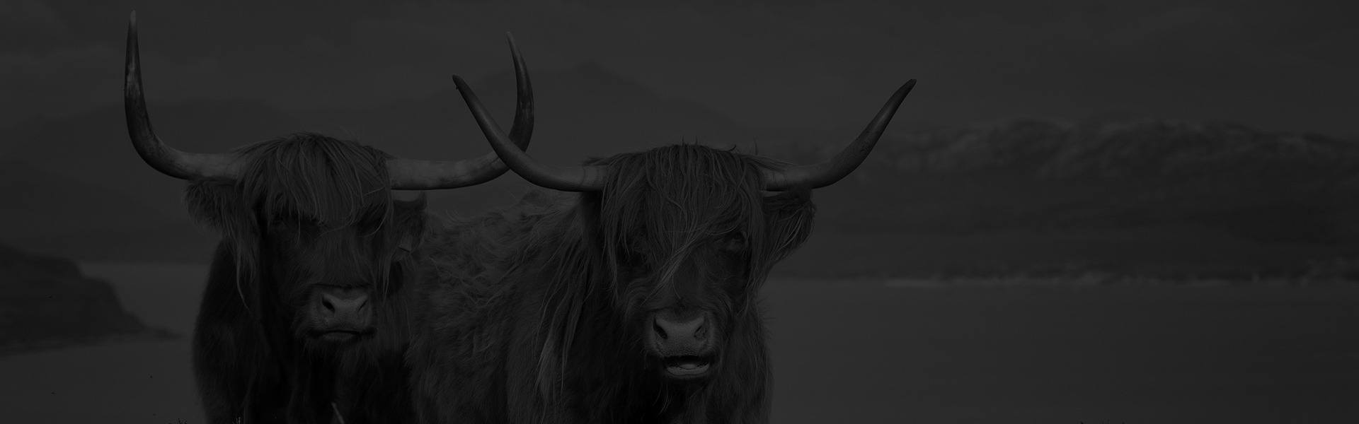 Agricultural Consultant Scotland, Agricultural Farm and Croft Grant Funding Subsidy, Agri-Env Environmental Scheme Grant Application