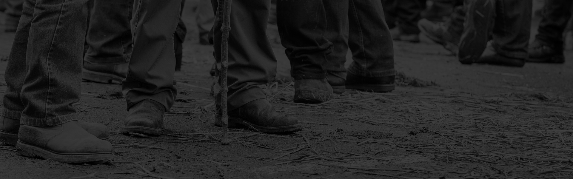 Agricultural Consultant Scotland, Agricultural Farm and Croft Grant Funding Subsidy, Agri-Env Environmental Scheme Grant Application