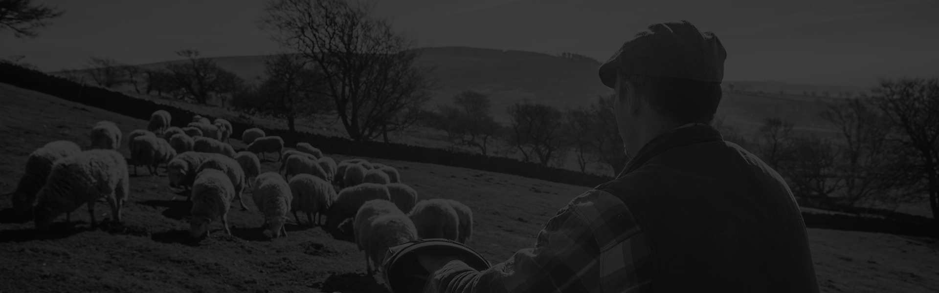 Agricultural Consultant Scotland, Agricultural Farm and Croft Grant Funding Subsidy, Agri-Env Environmental Scheme Grant Application