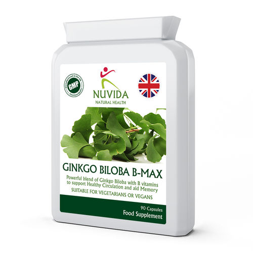 Ginkgo-Biloba 90 Capsules
