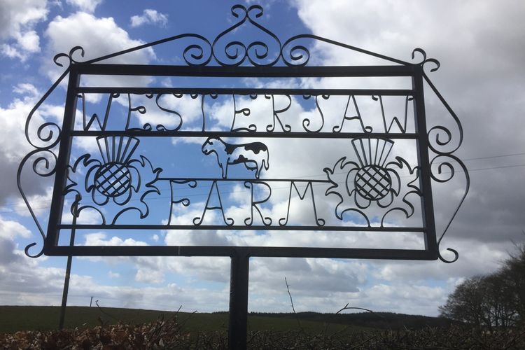 Wrought Iron Gates, Metal Gates and Railings, Garden Planters and Metal Art