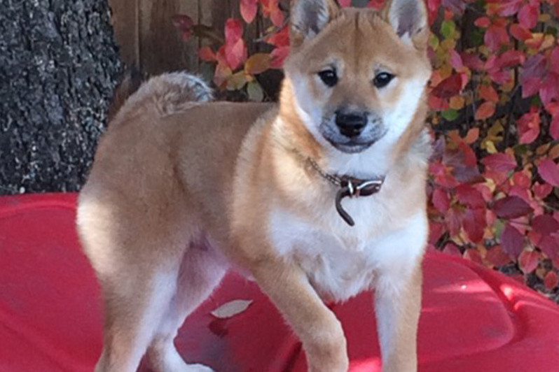 Boutique Hotels Lake District