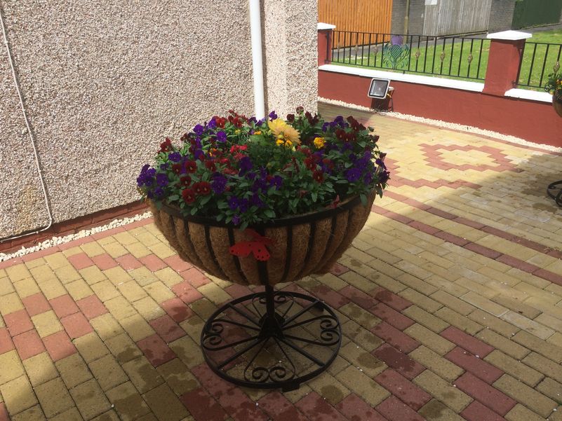 The half ball planter