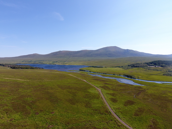 Shooting Rates - 100% Relief