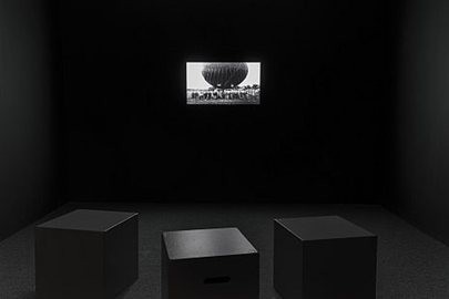 The Power Plant Contemporary Art Gallery.