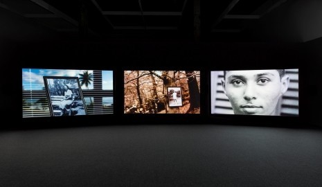 The Power Plant Contemporary Art Gallery.