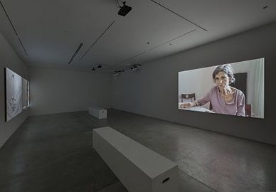 The Power Plant Contemporary Art Gallery.