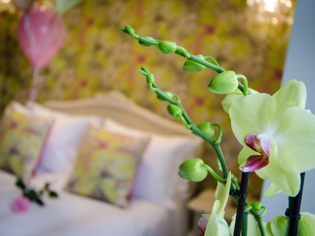 Deluxe King Room with Spa Bath