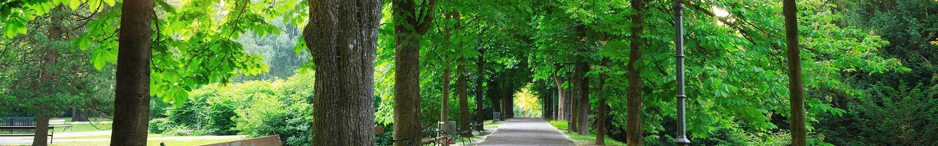 Physiotherapy Melton Mowbray, Acupuncture Sports Injury, Back Pain Injury Neck