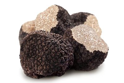 Fresh Truffles UK, Tuber Aestivum Tuber Melanosporum Tuber Uncinatum, Welsh Truffles