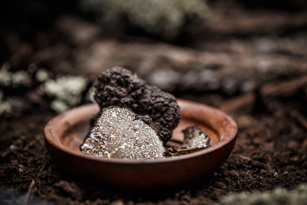 BBC Radio 4 - Shari Vahl hunts the first UK Perigord truffles Here on the farm