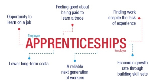 What will set the Procurement Academy aside from the rest when it comes to delivering Apprenceships?