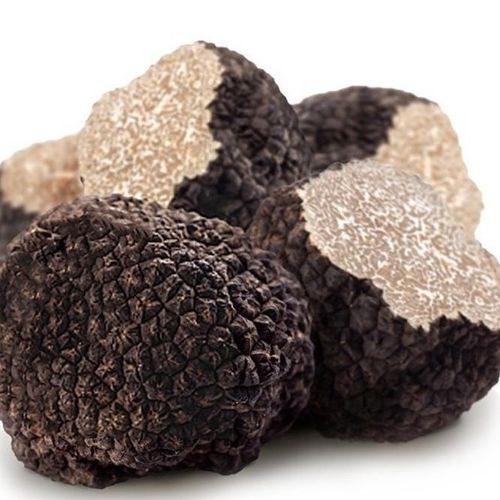 Welsh Black Summer Truffles (Tuber Aestivum) New Season 2025