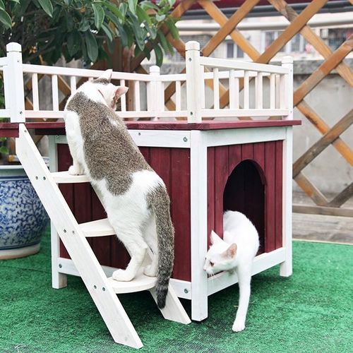 Outdoor Wooden Cat House Lodge with Roof Terrace