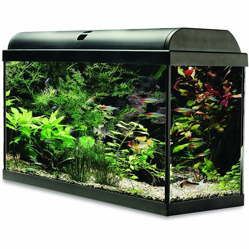Interpet Aquaverse Glass Aquarium Fish Tank Premium Kit- 65 L