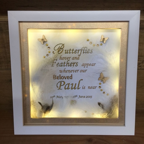 butterflies & feathers led frame