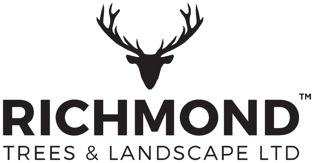Richmond Trees and Landscape Ltd | Garden Maintenance Wimbledon | Tree Surgeon Richmond