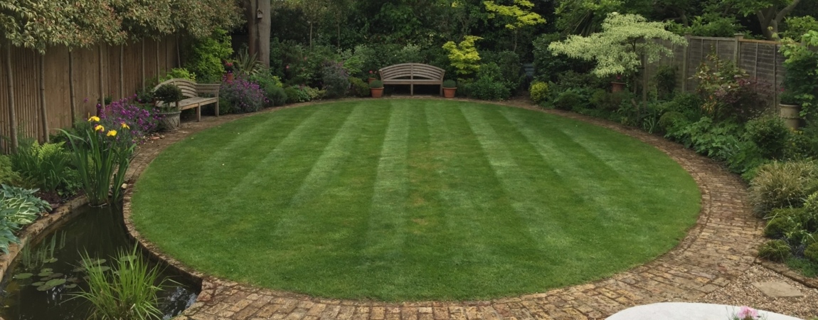 Garden Maintenance Wimbledon, Tree Surgeon Richmond, Gardener Teddington