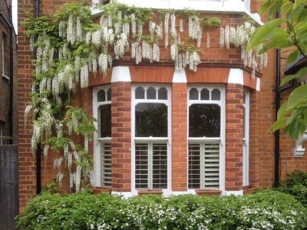 Garden Maintenance Wimbledon, Tree Surgeon Richmond, Gardener Teddington