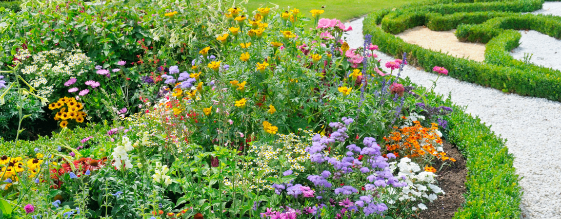 Garden Maintenance Wimbledon, Tree Surgeon Richmond, Gardener Teddington