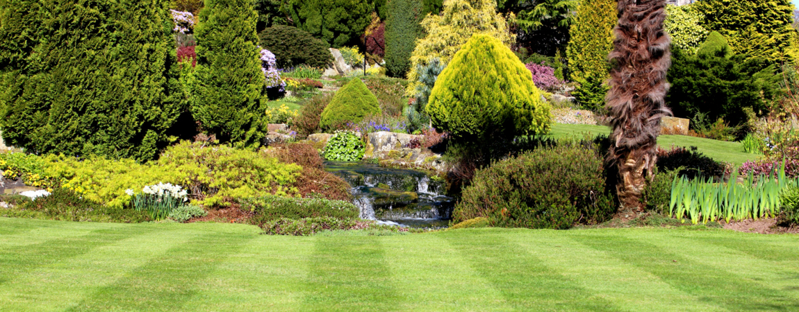 Garden Maintenance Wimbledon, Tree Surgeon Richmond, Gardener Teddington