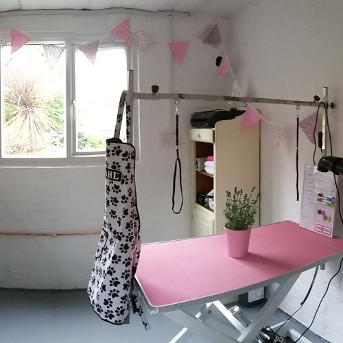 Windle Woofs | Dog Grooming | Photos | Gallery |