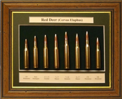 Hunting, Pistol Displays and Clocks