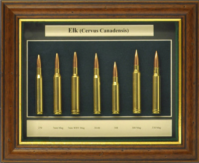 Hunting, Pistol Displays and Clocks