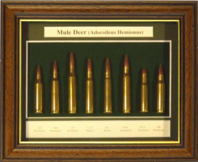 Hunting, Pistol Displays and Clocks