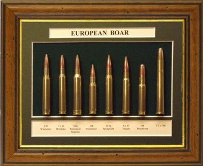 Hunting, Pistol Displays and Clocks