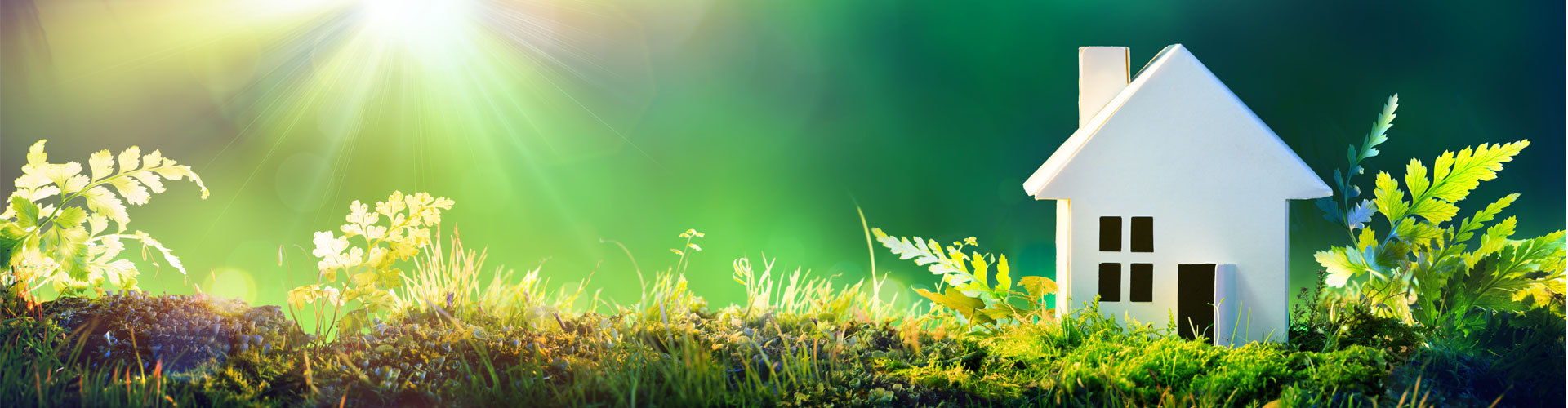 Renewable Energy Energy Saving,PV Plus, Voltage Optimiser