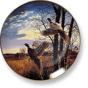 Limited Edition Wall Plates