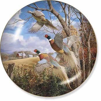 Limited Edition Wall Plates