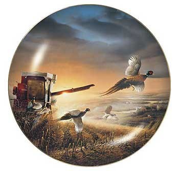 Limited Edition Wall Plates