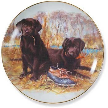 Limited Edition Wall Plates