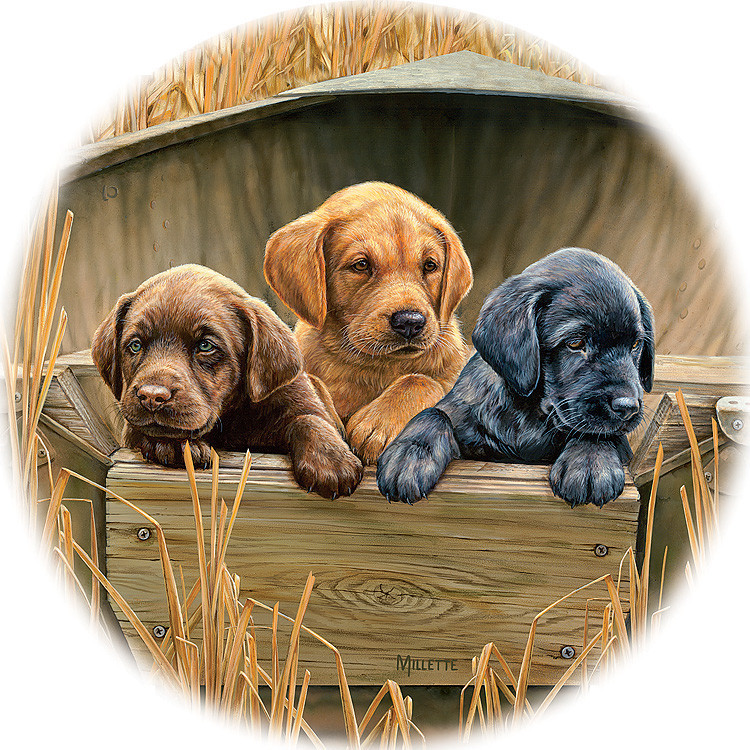 Tea/ Coffee Coasters