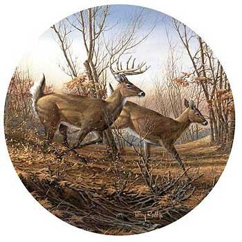 Tea/ Coffee Coasters