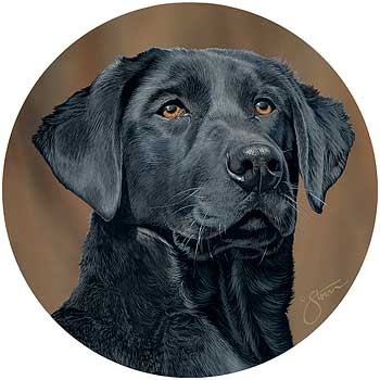 Tea/ Coffee Coasters