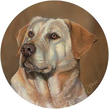 Tea/ Coffee Coasters