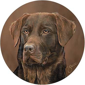 Tea/ Coffee Coasters